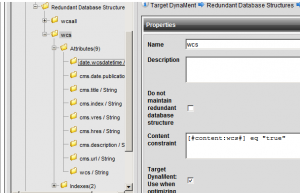 Screen capture of attributes and constraint
